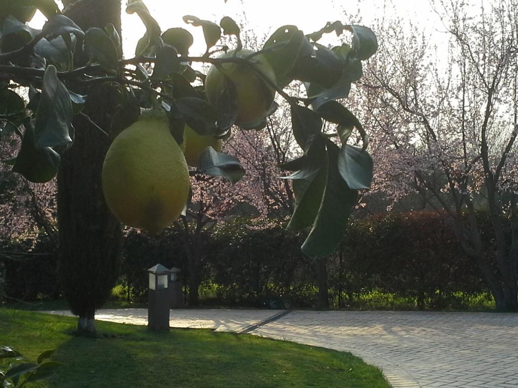 Residenza Teodorico Re B&B Viterbo Bagian luar foto