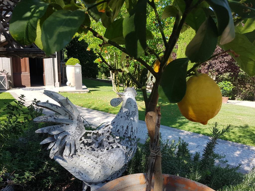 Residenza Teodorico Re B&B Viterbo Bagian luar foto
