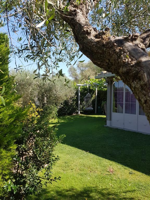Residenza Teodorico Re B&B Viterbo Bagian luar foto
