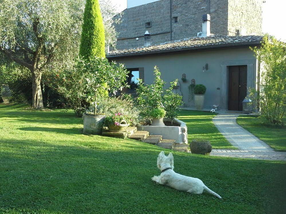 Residenza Teodorico Re B&B Viterbo Bagian luar foto